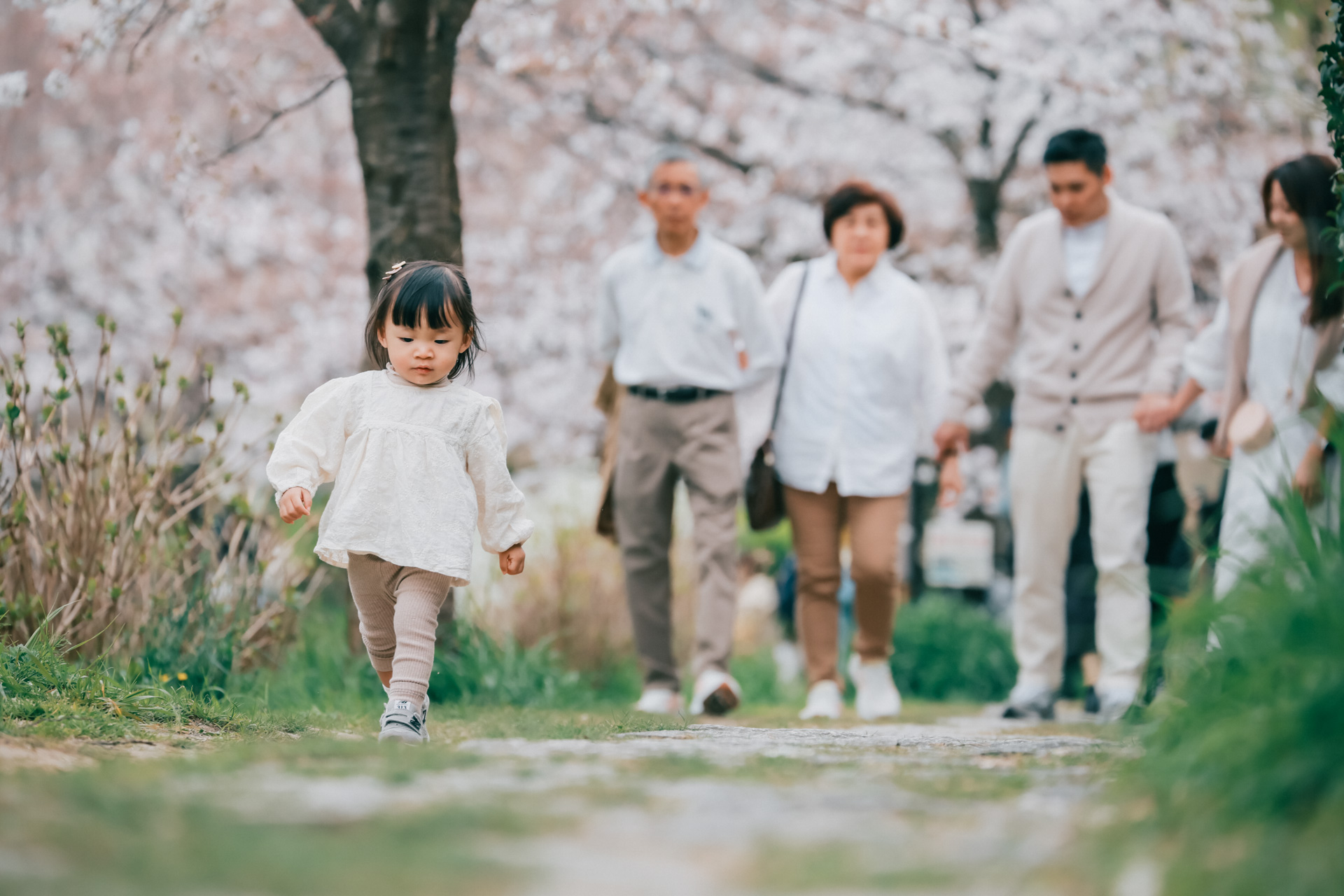 MurMur 京都・櫻花季親子旅拍｜精選影像 04