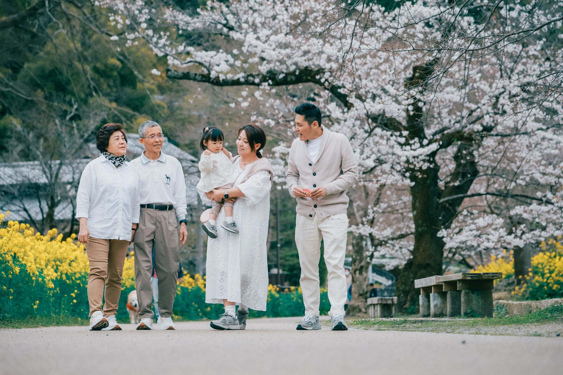 MurMur 京都・櫻花季親子旅拍｜完整相簿 24