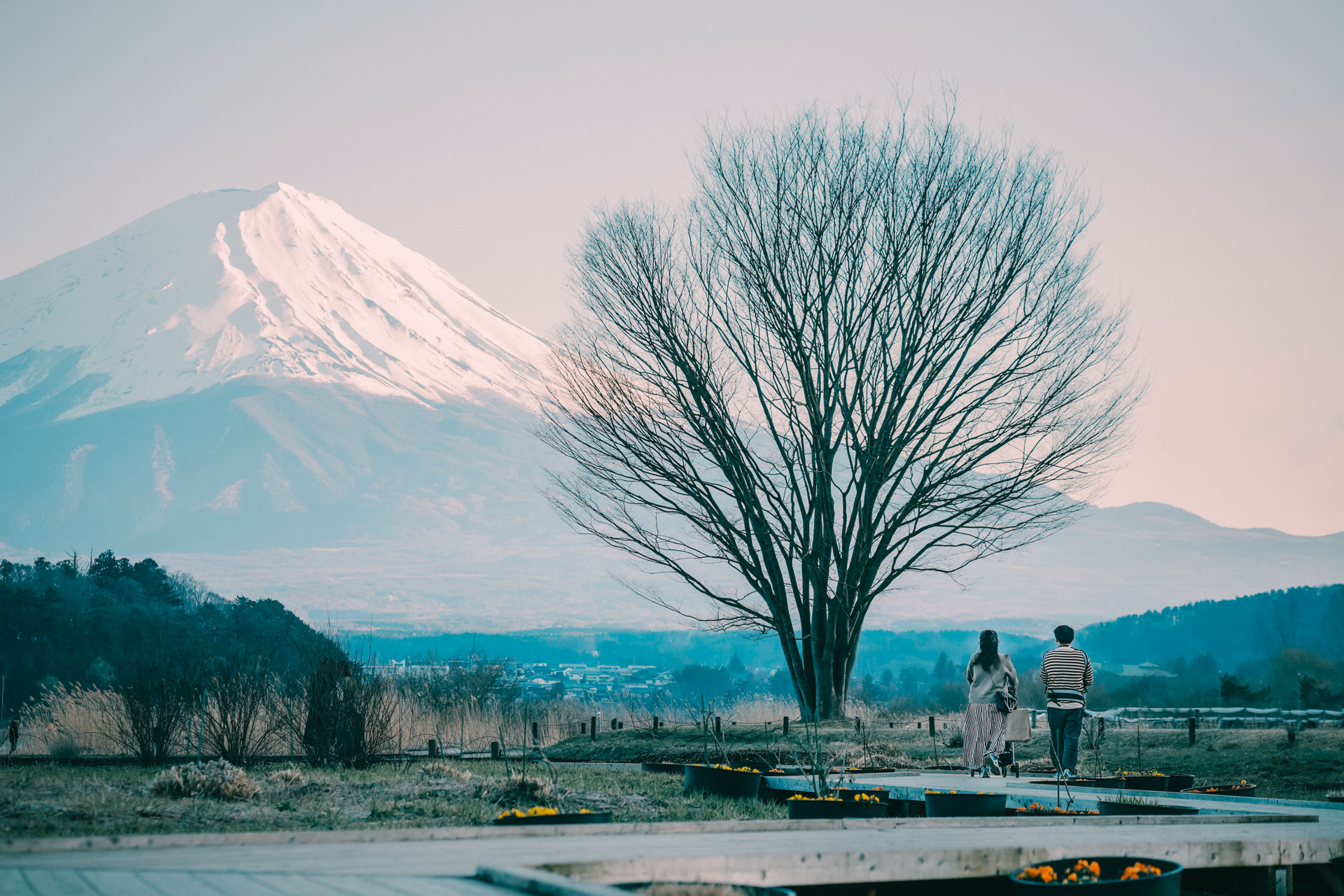 謙與霏 河口湖・富士山親子旅拍|完整相簿 38